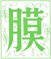 MSJ